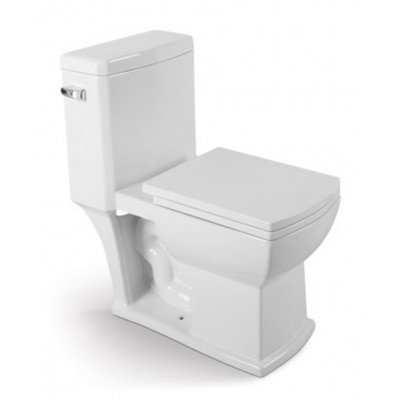 Cupc Watersense Map ADA White Elongated Siphonic One Piece Toilets with Slow Close Seat 105