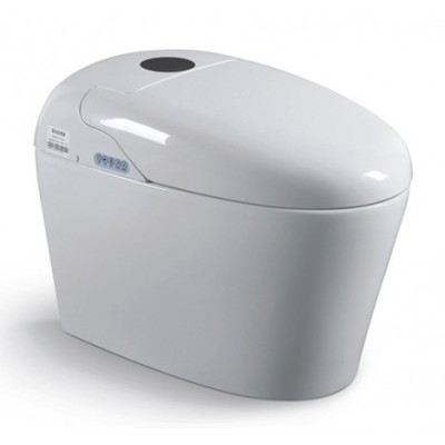 CE Smart Intelligent Toilets 8035